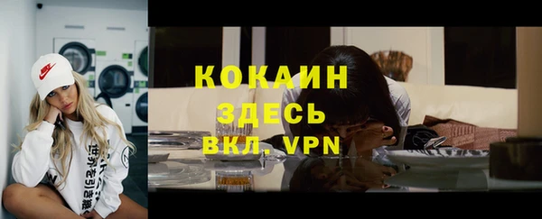 стафф Алексин
