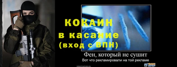 стафф Алексин