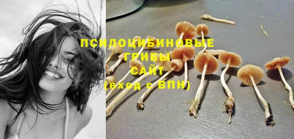 ешки Алзамай