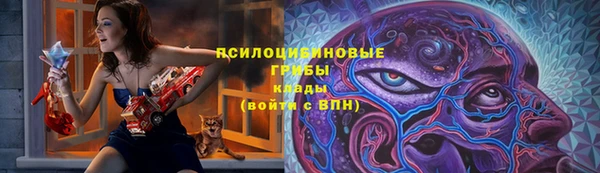 ешки Алзамай